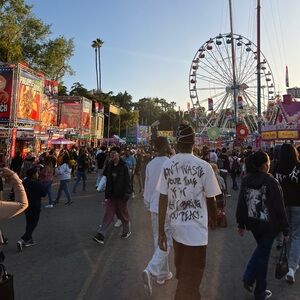 Meet your Posher, Desiree